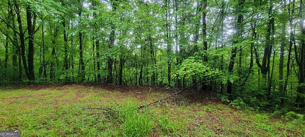 0.98 Acres of Residential Land for Sale in Tiger, Georgia