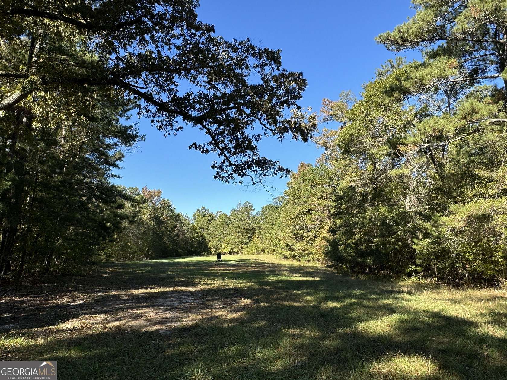 200 Acres of Recreational Land for Sale in Griffin, Georgia