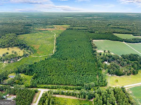 14 Acres of Recreational Land for Sale in Statesboro, Georgia