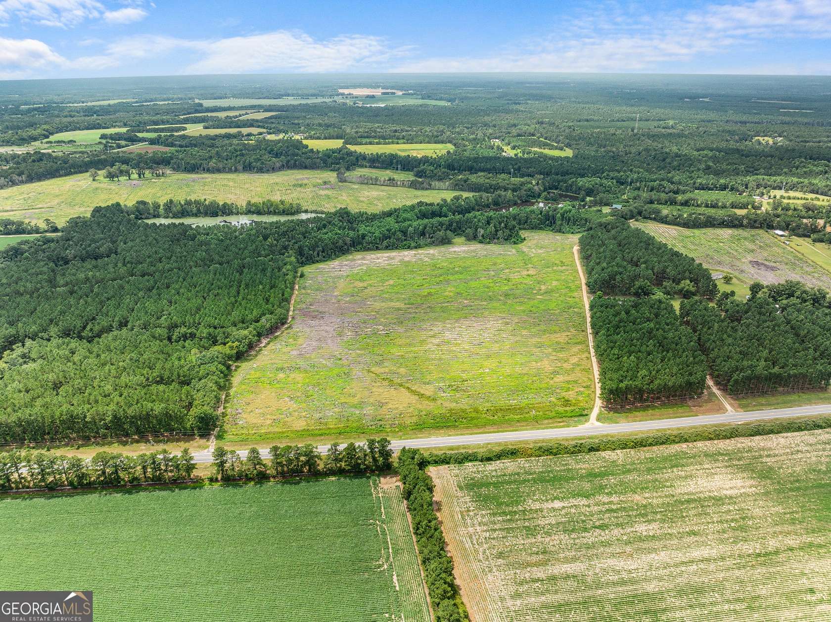 34.2 Acres of Land for Sale in Statesboro, Georgia