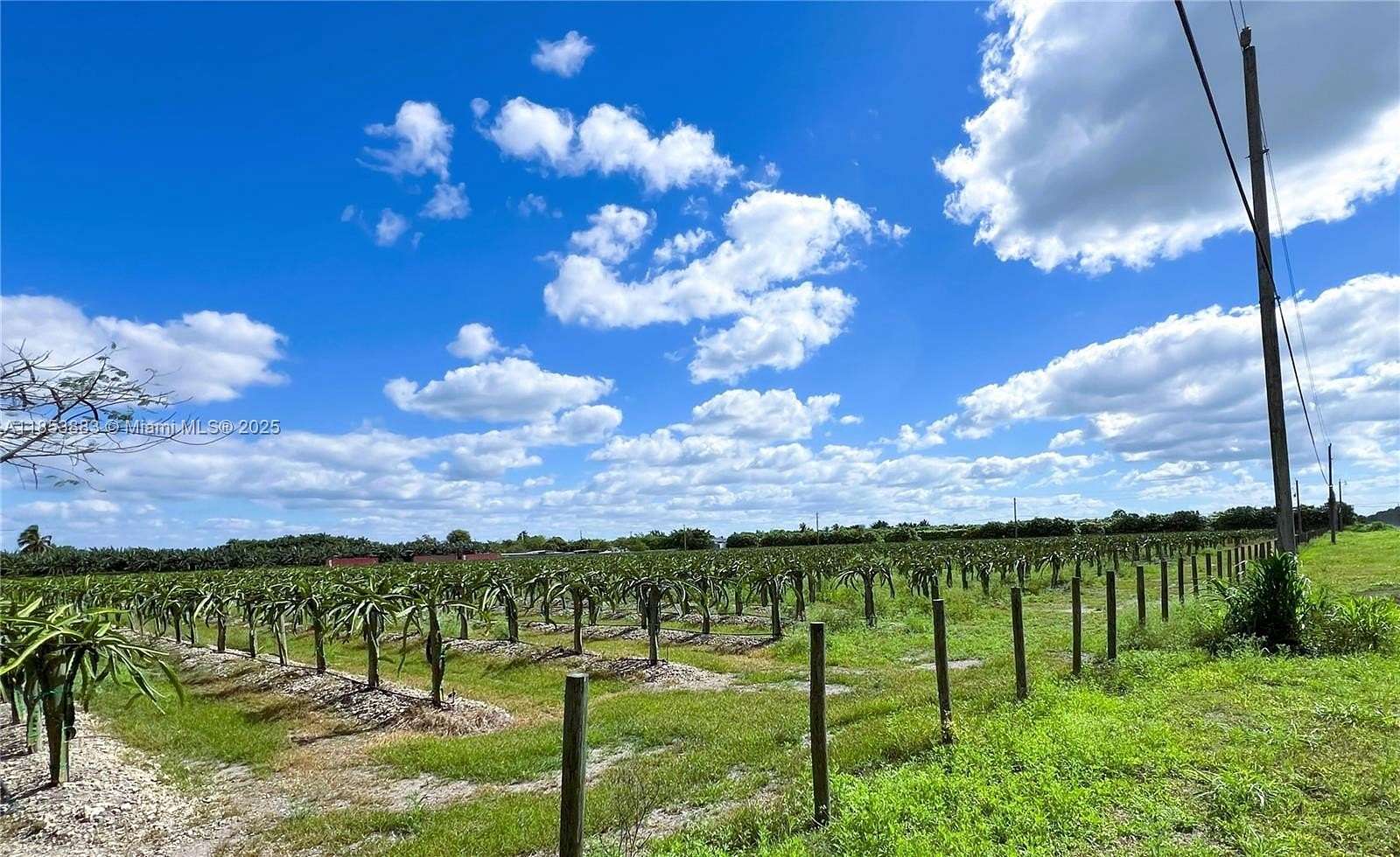 10 Acres of Agricultural Land for Sale in Miami, Florida