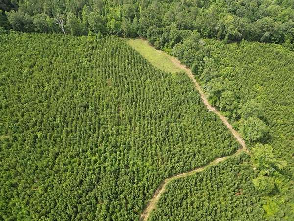 40 Acres of Agricultural Land for Sale in Ariton, Alabama