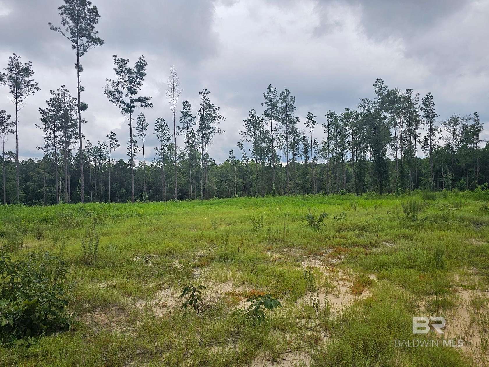20 Acres of Land for Sale in Perdido, Alabama