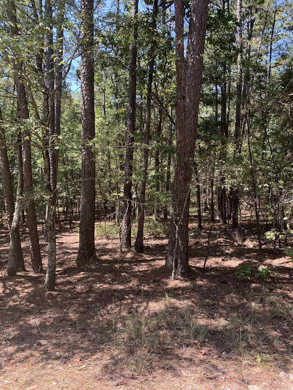 0.27 Acres of Residential Land for Sale in Hot Springs Village, Arkansas