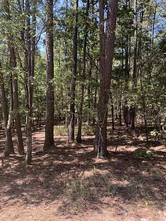 0.27 Acres of Residential Land for Sale in Hot Springs Village, Arkansas