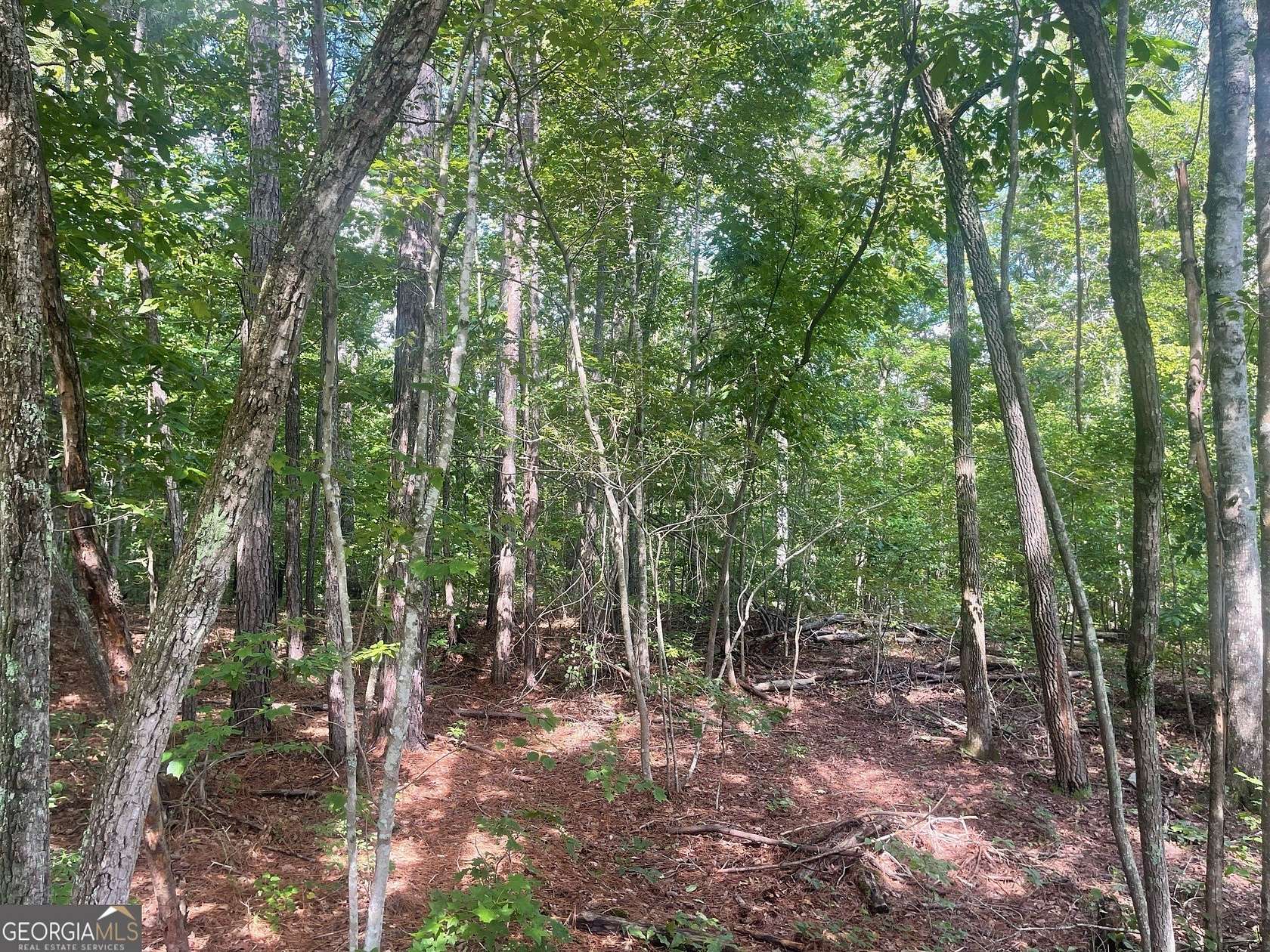 5 Acres of Residential Land for Sale in Franklin, Georgia
