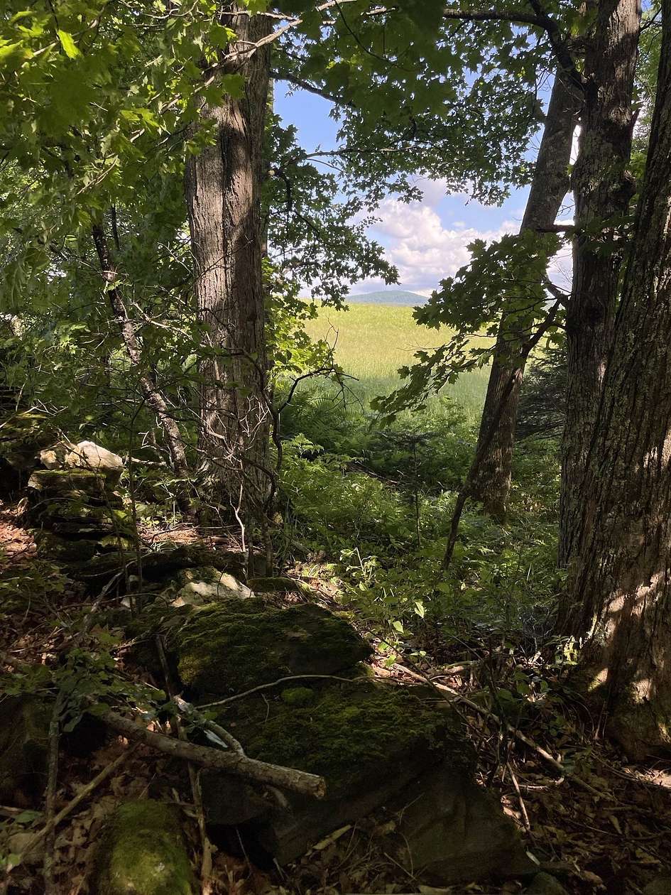 61.4 Acres of Agricultural Land for Sale in Calais Town, Vermont