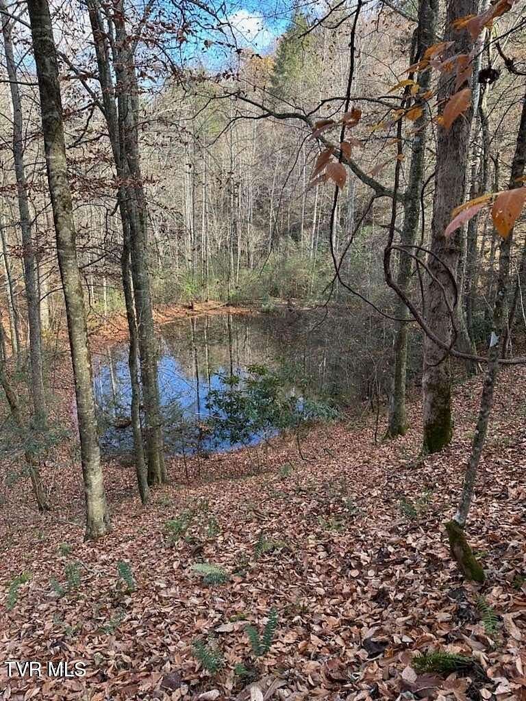 648 Acres of Recreational Land & Farm for Sale in Haysi, Virginia
