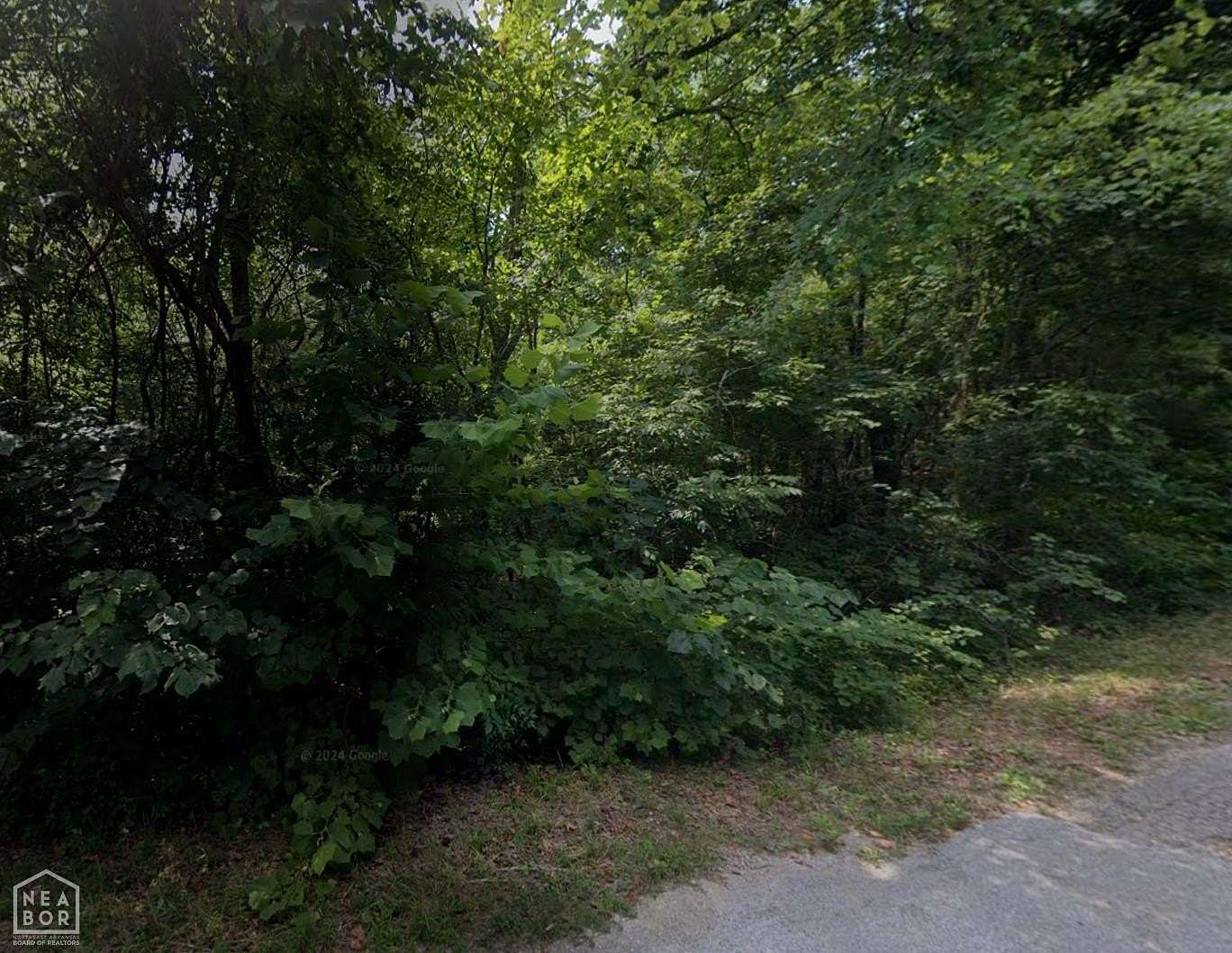 0.49 Acres of Land for Sale in Cherokee Village, Arkansas