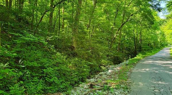 94 Acres of Recreational Land for Sale in East Bernstadt, Kentucky