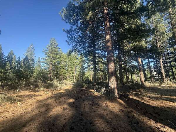1.65 Acres of Residential Land for Sale in Verdi, California