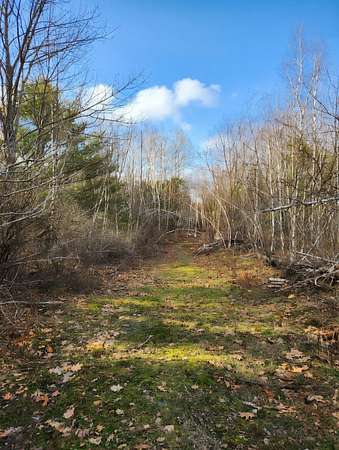 4 Acres of Residential Land for Sale in Newport, Maine