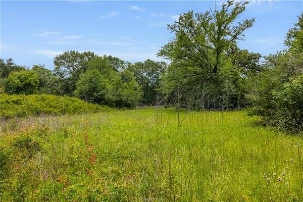 15.3 Acres of Land for Sale in Washington, Texas