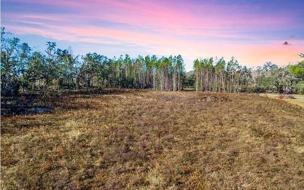 8.5 Acres of Land for Sale in Madison, Florida
