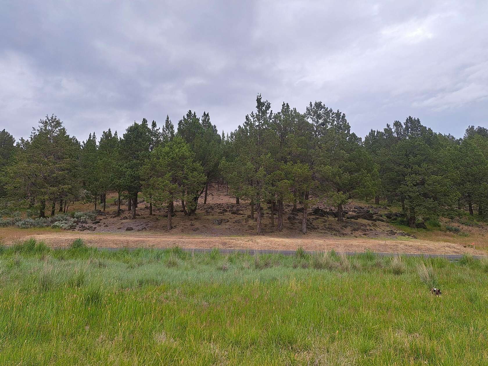 0.71 Acres of Residential Land for Sale in Klamath Falls, Oregon