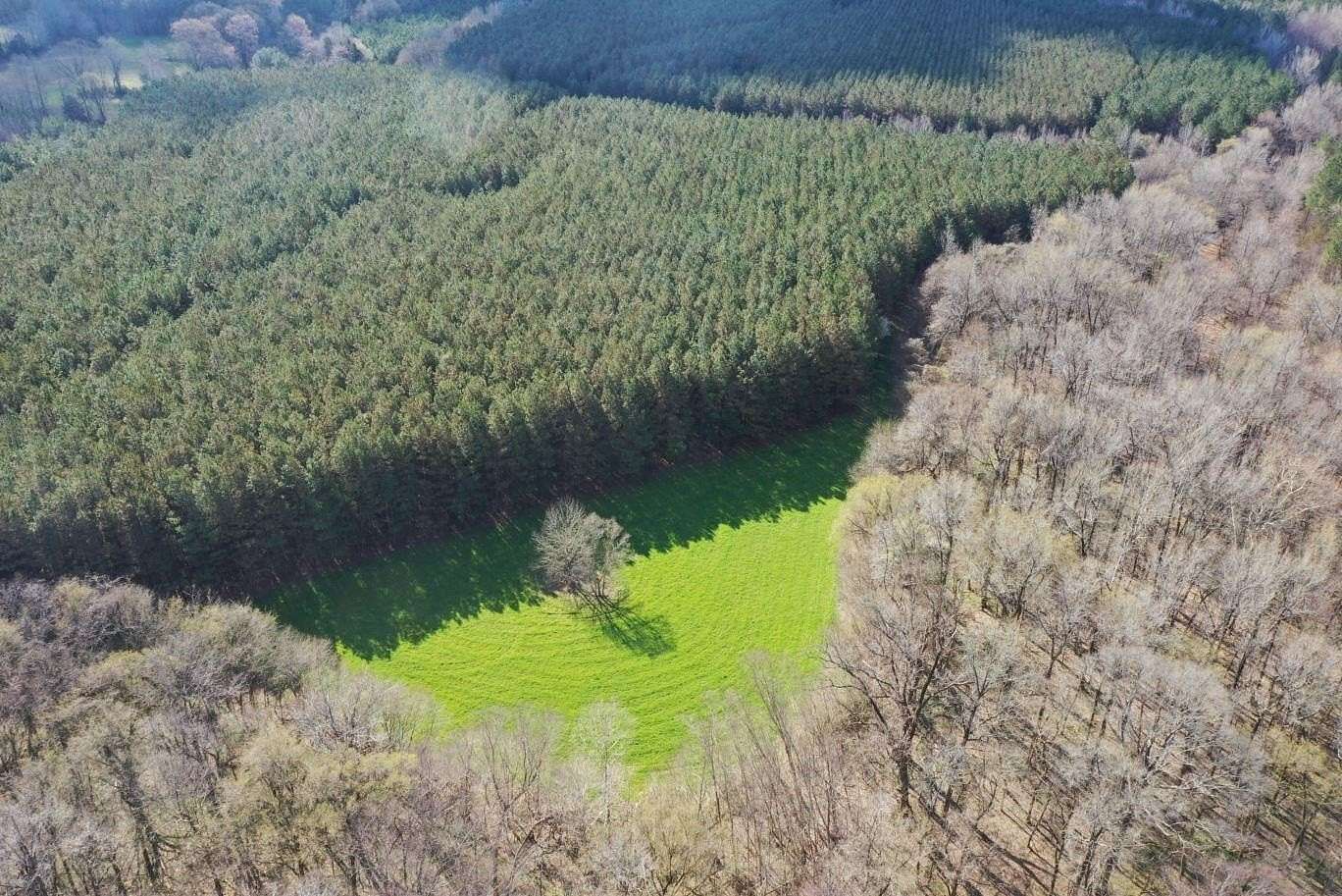 170 Acres of Recreational Land & Farm for Sale in Holly Springs, Mississippi