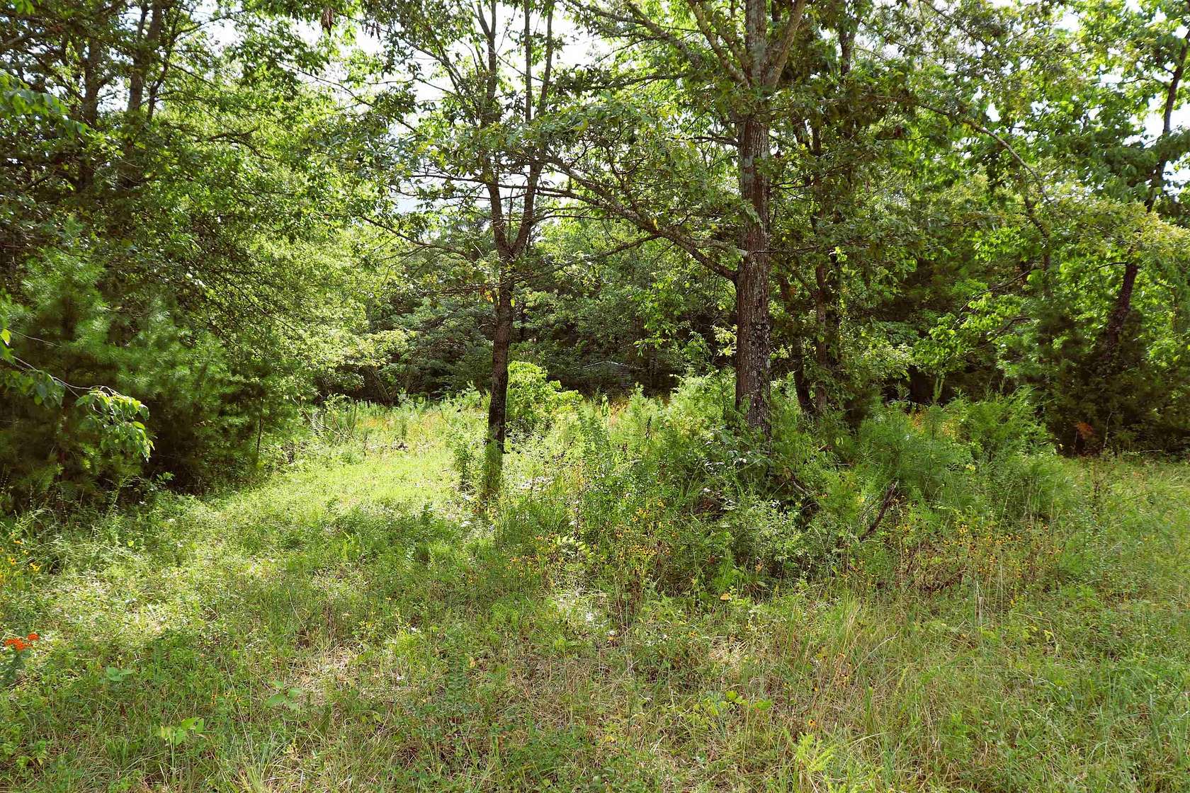 3 Acres of Residential Land for Sale in Danville, Alabama