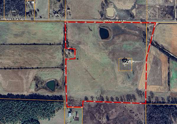 40 Acres of Land with Home for Sale in Hector, Arkansas