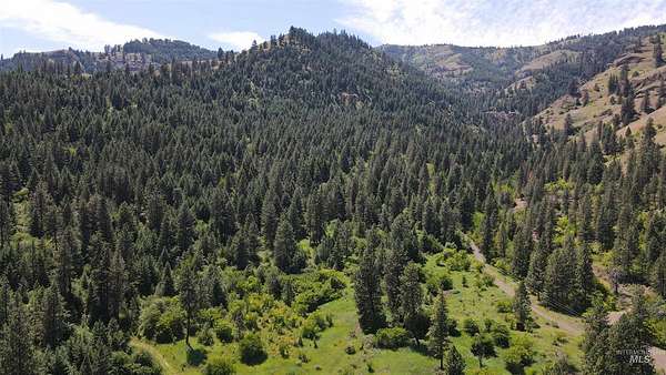20.2 Acres of Land for Sale in White Bird, Idaho