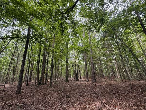 52 Acres of Recreational Land for Sale in Ethelsville, Alabama