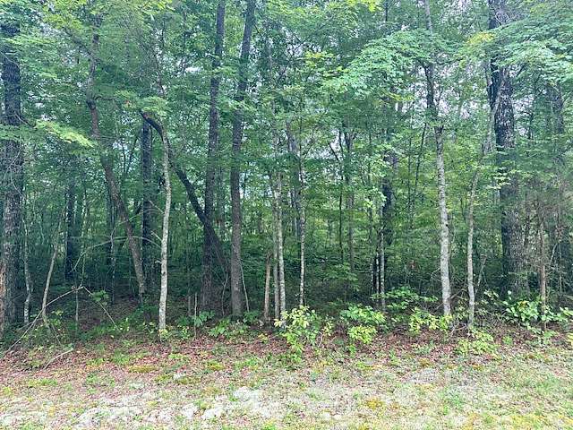 0.94 Acres of Residential Land for Sale in Monterey, Tennessee