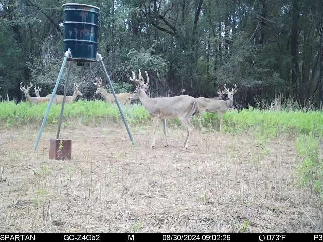 240 Acres of Recreational Land & Farm for Sale in Granite, Oklahoma