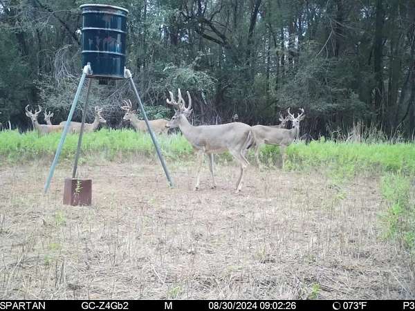 240 Acres of Recreational Land & Farm for Sale in Granite, Oklahoma