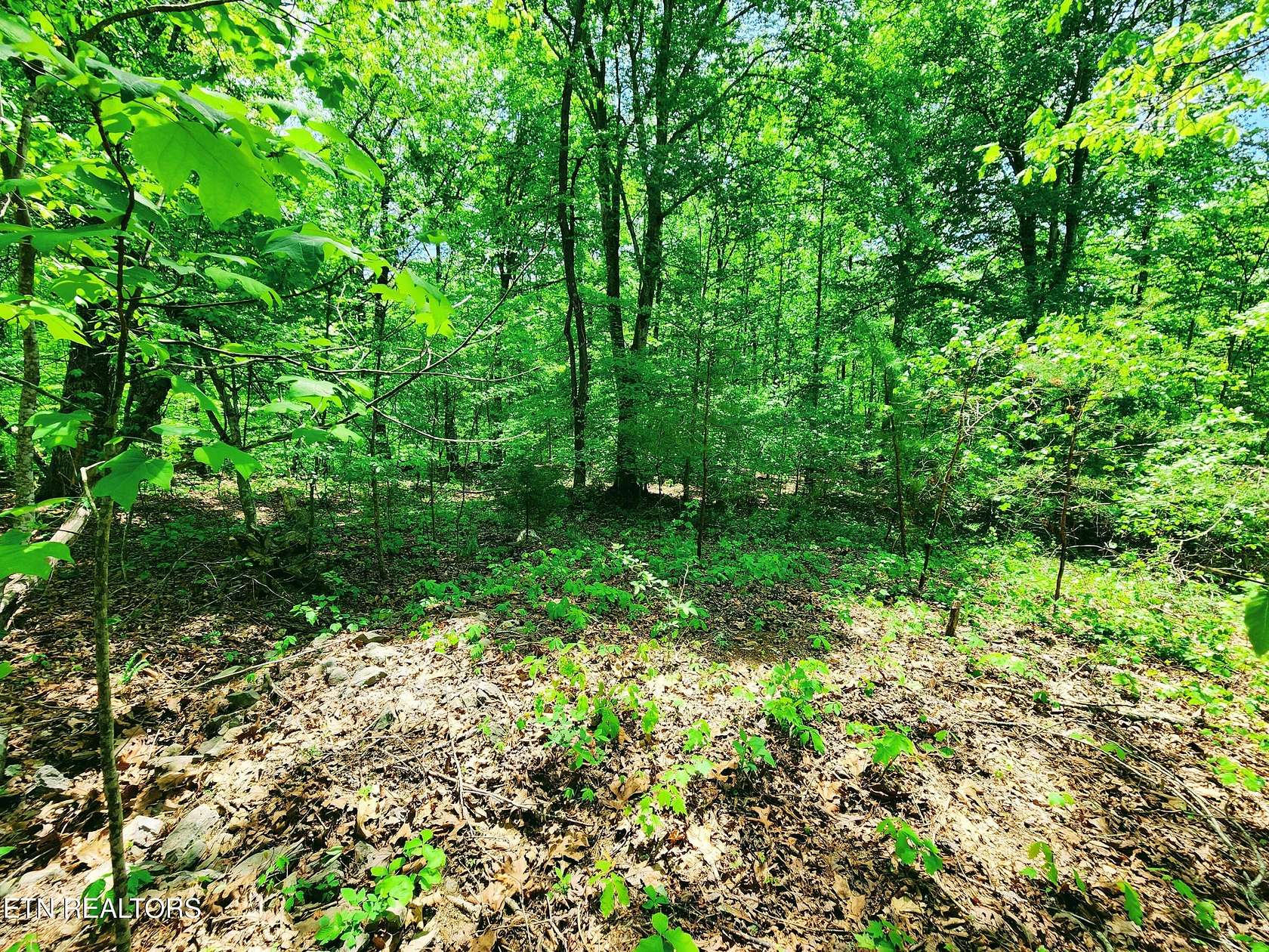 1.6 Acres of Residential Land for Sale in Kingston, Tennessee