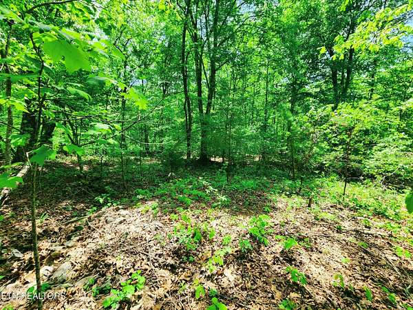 1.6 Acres of Residential Land for Sale in Kingston, Tennessee