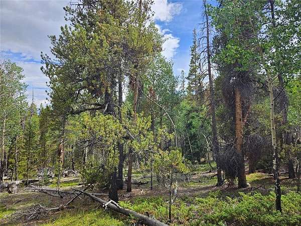 5 Acres of Land for Sale in Fairplay, Colorado