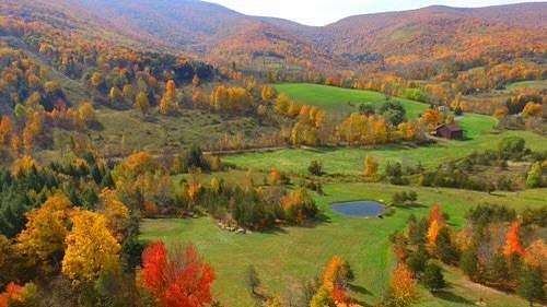 10.4 Acres of Recreational Land for Sale in Lexington, New York