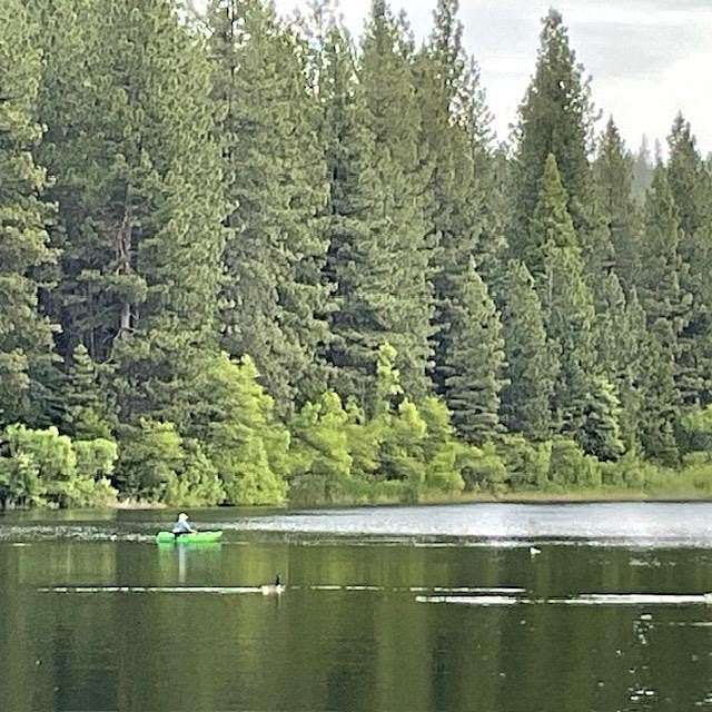 0.36 Acres of Residential Land for Sale in Arnold, California