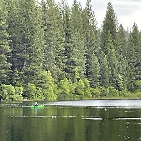 0.36 Acres of Residential Land for Sale in Arnold, California