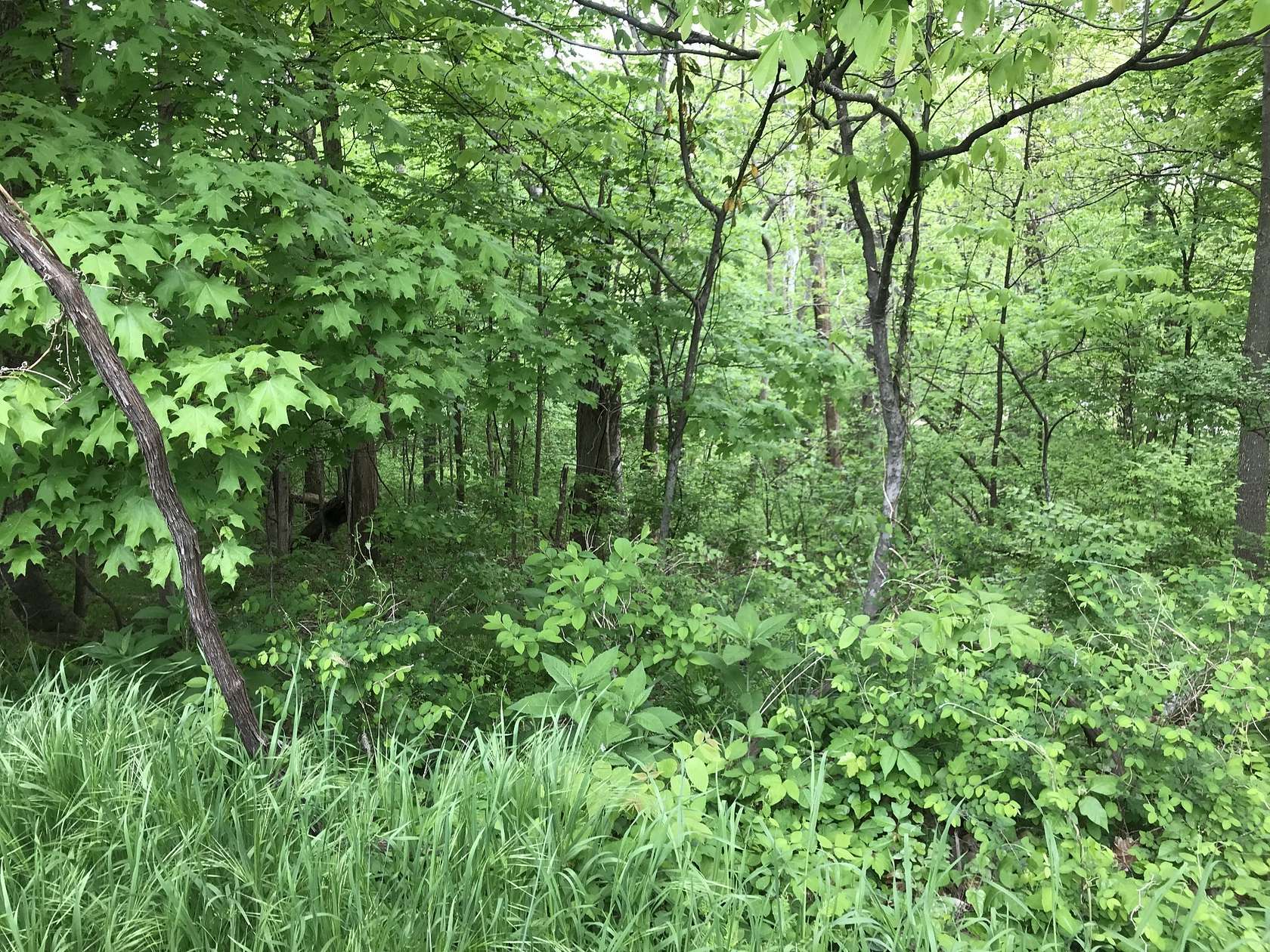 0.49 Acres of Residential Land for Sale in Lebanon, Tennessee