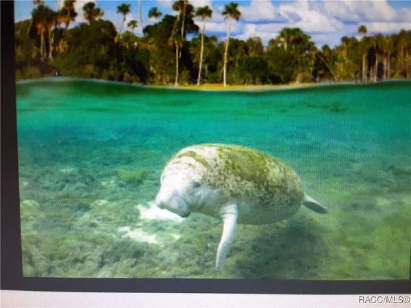 0.42 Acres of Residential Land for Sale in Citrus Springs, Florida