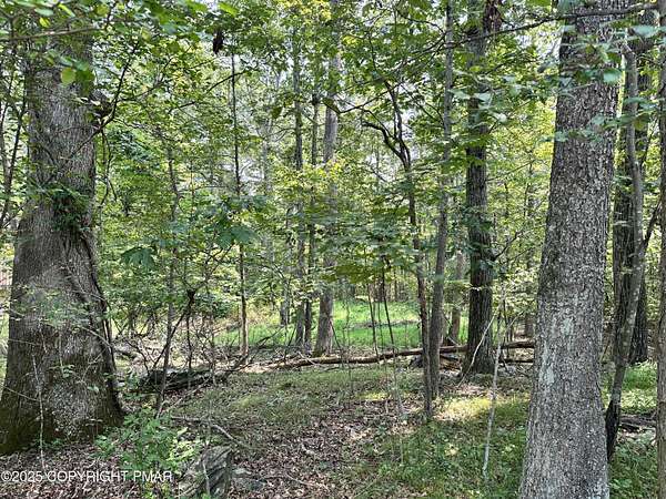 0.5 Acres of Residential Land for Sale in Henryville, Pennsylvania