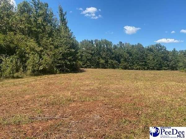 14.3 Acres of Land for Sale in Lynchburg, South Carolina