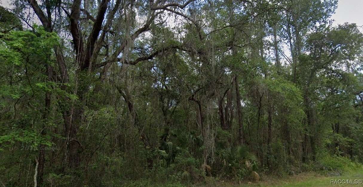 0.36 Acres of Residential Land for Sale in Dunnellon, Florida