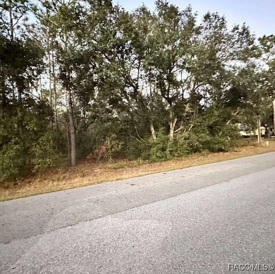 1 Acre of Land for Sale in Hernando, Florida