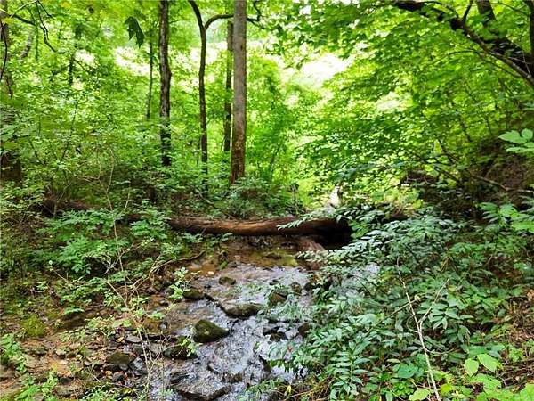 52.5 Acres of Land for Sale in Clayton, Georgia