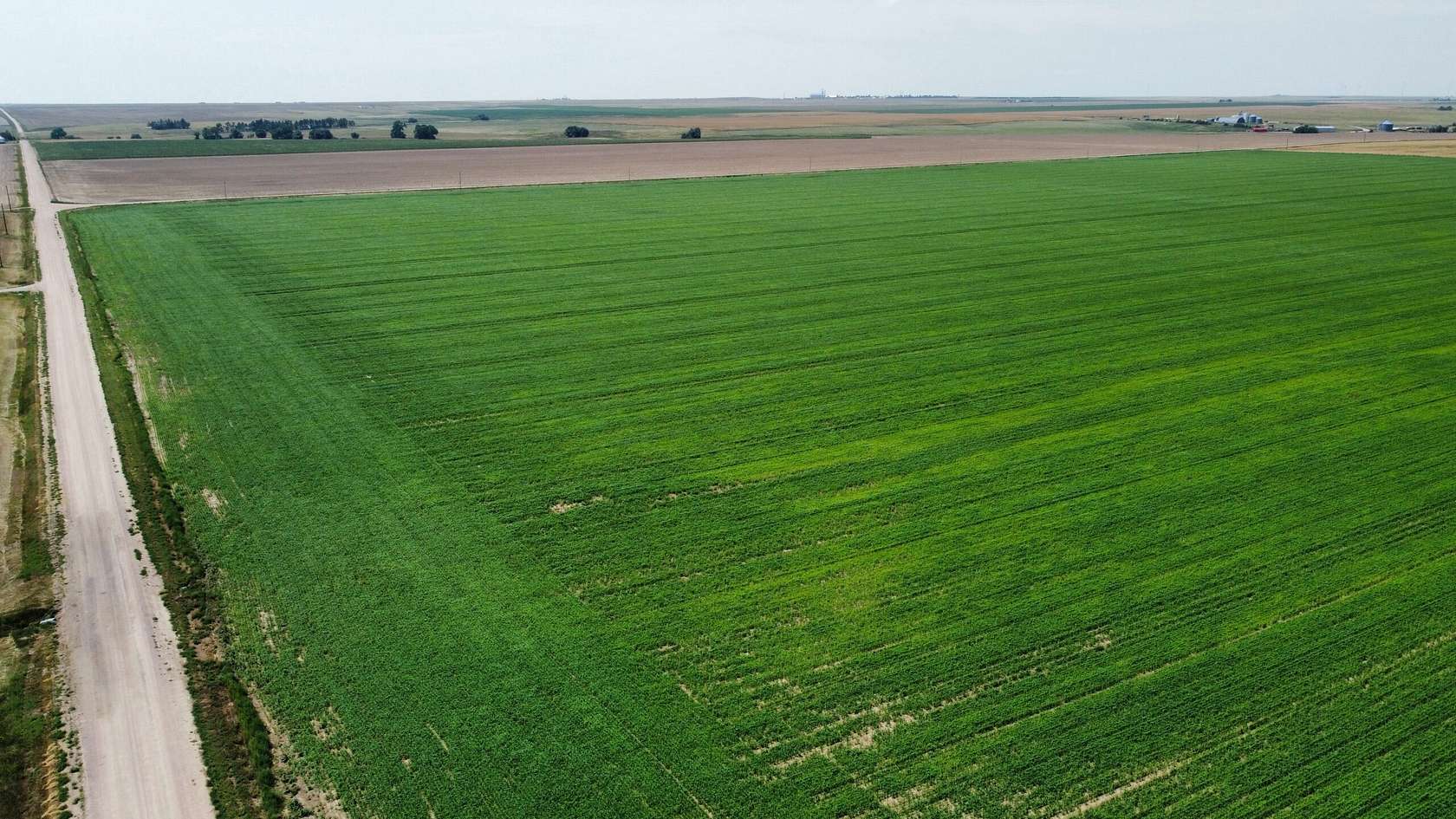 320 Acres of Recreational Land & Farm for Sale in Genoa, Colorado