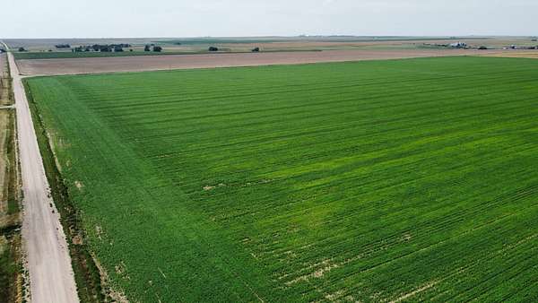 320 Acres of Recreational Land & Farm for Sale in Genoa, Colorado