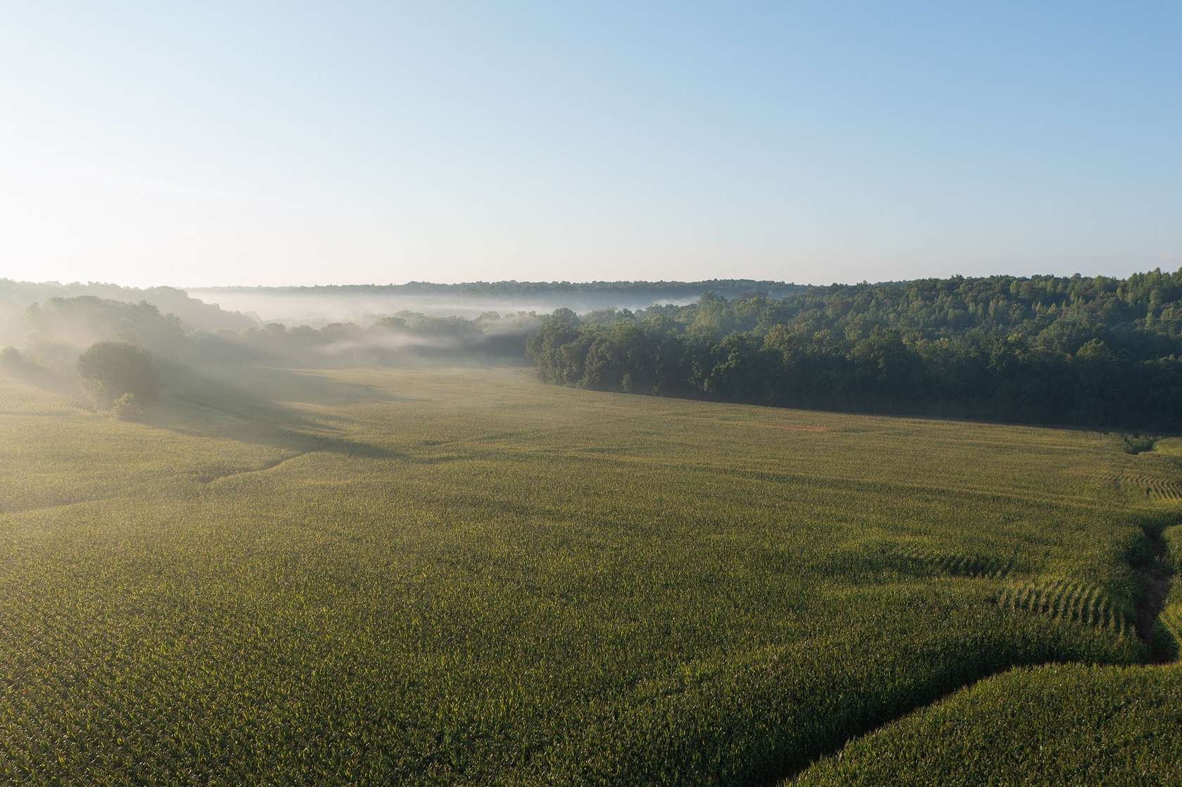 493 Acres of Recreational Land & Farm for Sale in Cumberland Furnace, Tennessee