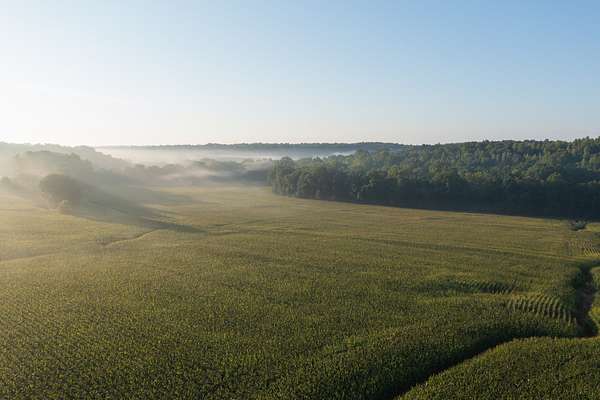 493 Acres of Recreational Land & Farm for Sale in Cumberland Furnace, Tennessee