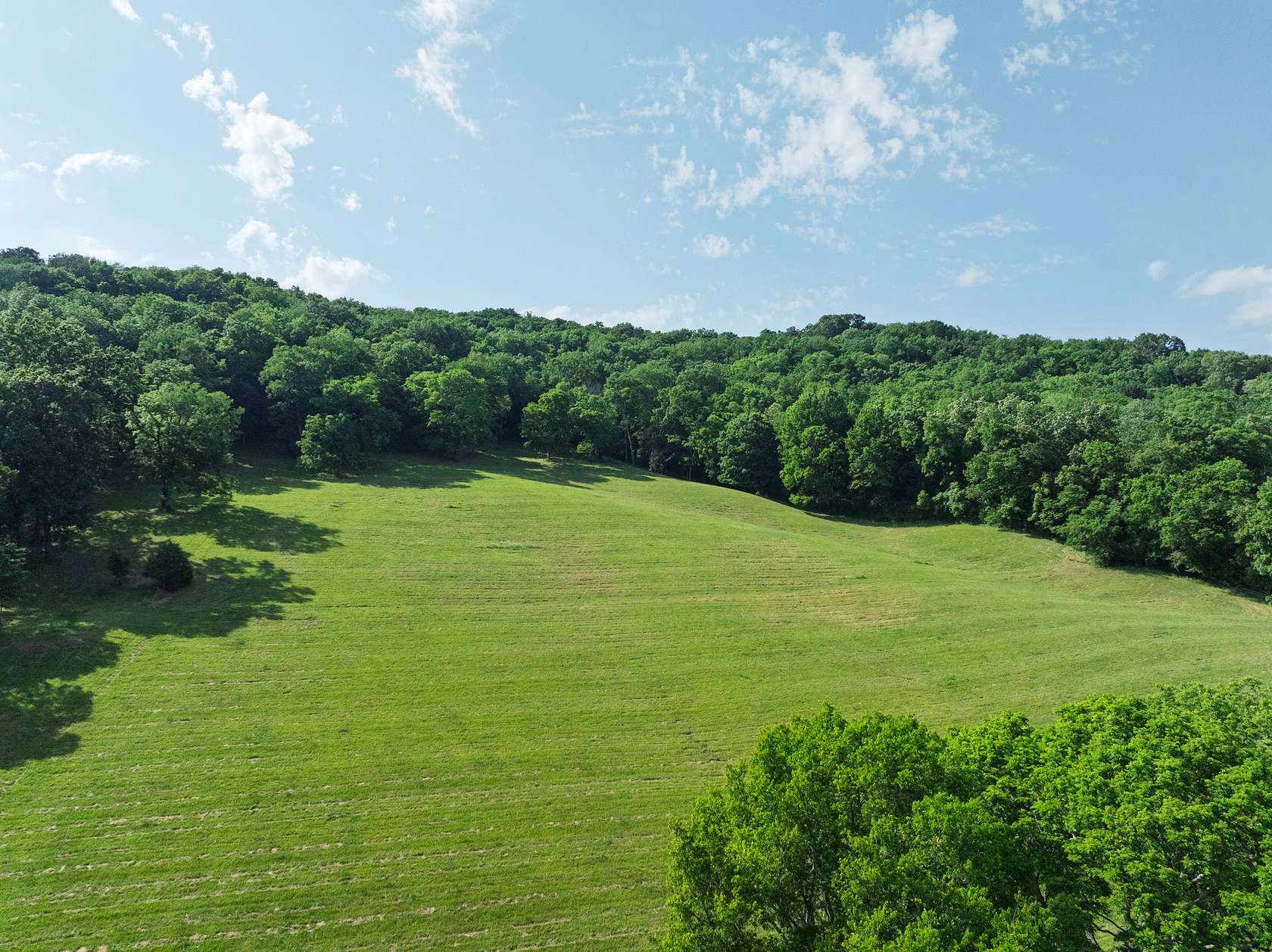 63.3 Acres of Agricultural Land for Sale in Franklin, Tennessee