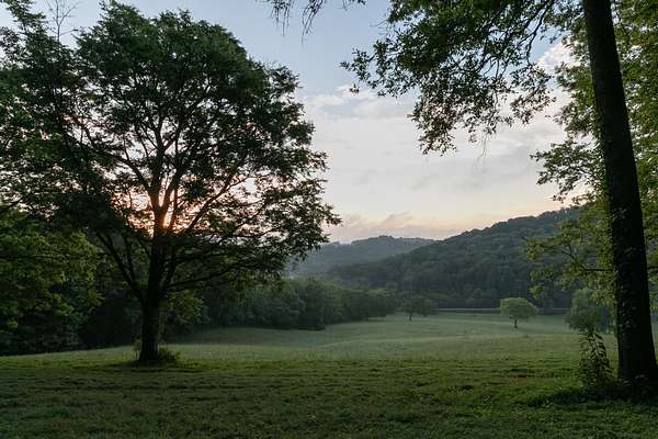 150 Acres of Agricultural Land for Sale in Franklin, Tennessee