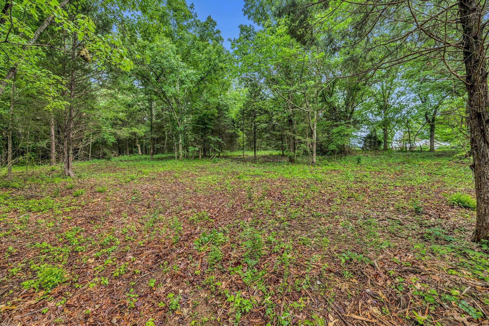 5 Acres of Residential Land for Sale in Bon Aqua, Tennessee