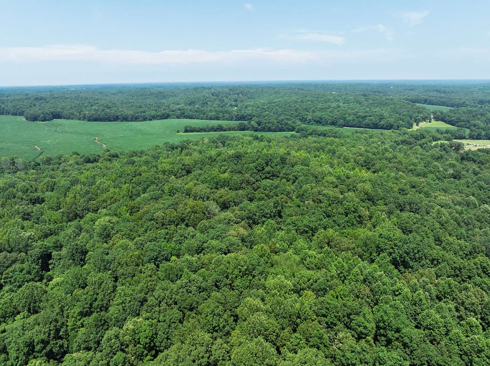 75.4 Acres of Recreational Land for Sale in Cunningham, Tennessee