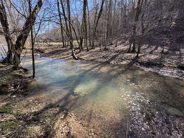 170 Acres of Land for Sale in Collinwood, Tennessee