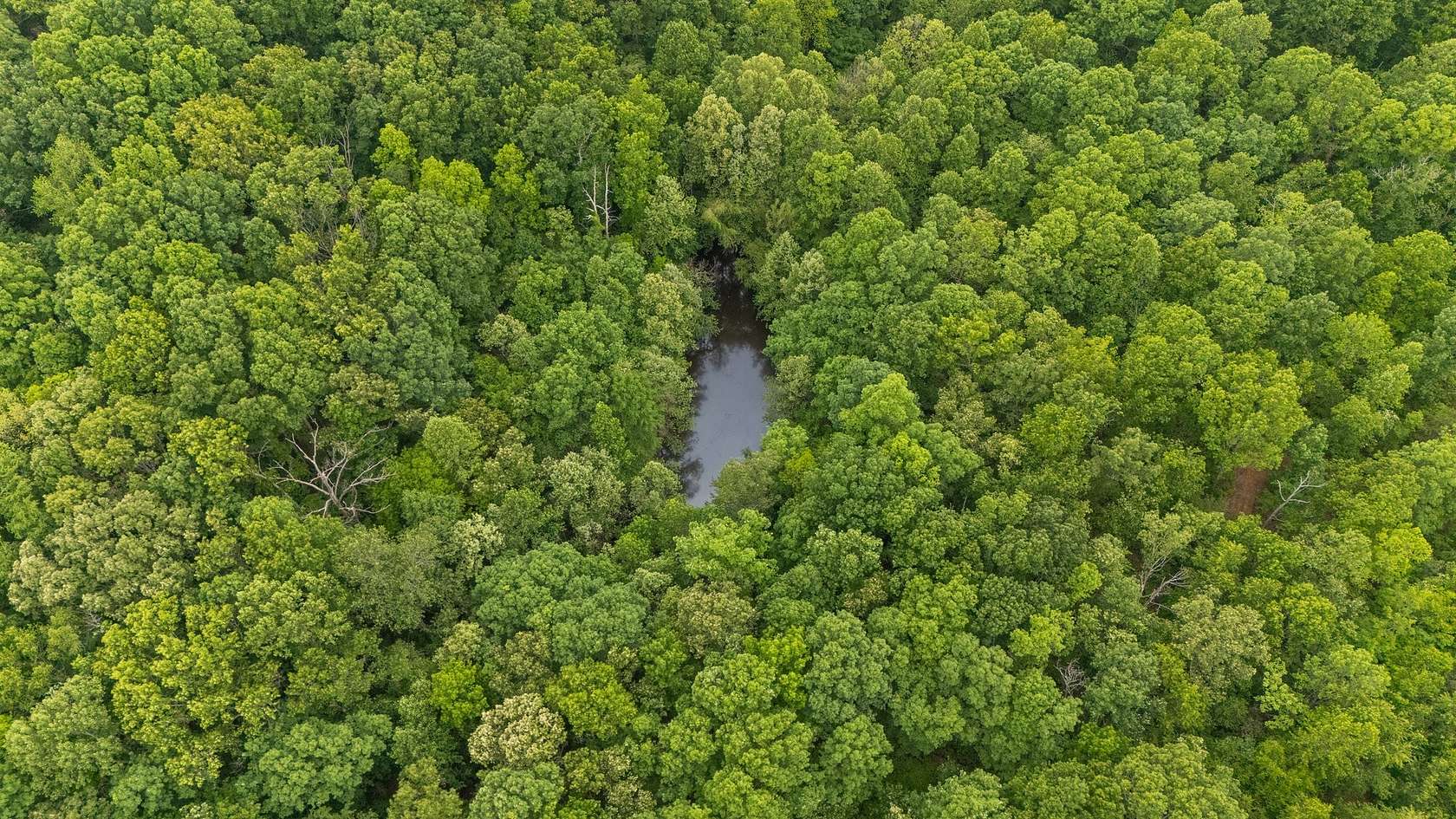 70.8 Acres of Land for Sale in Nunnelly, Tennessee